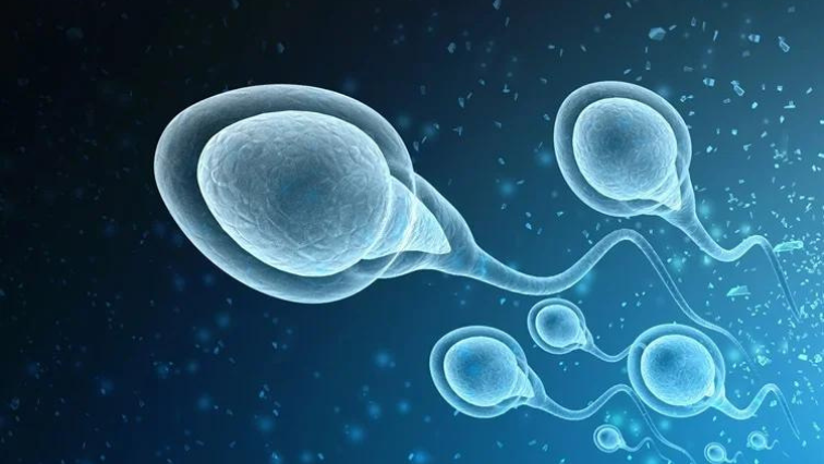 Male Infertility