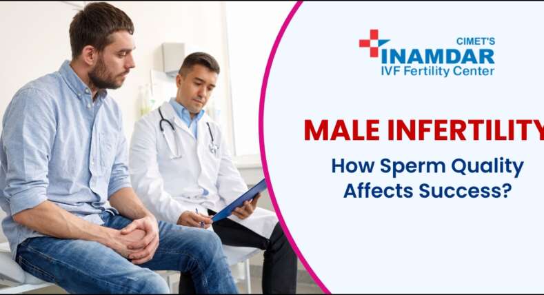 How Sperm Quality Affects IVF Success