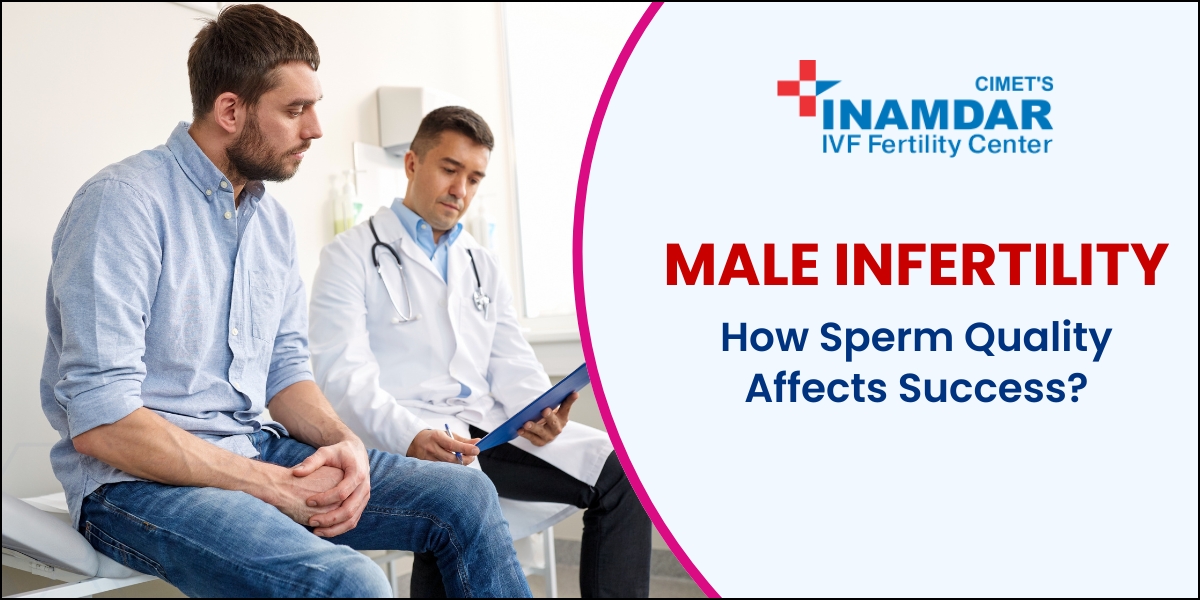 How Sperm Quality Affects IVF Success
